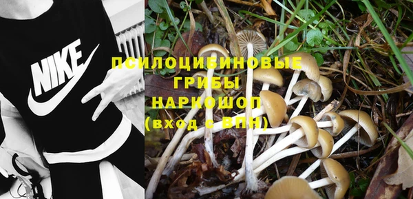 амф Абдулино