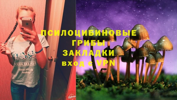 дмт Ростов