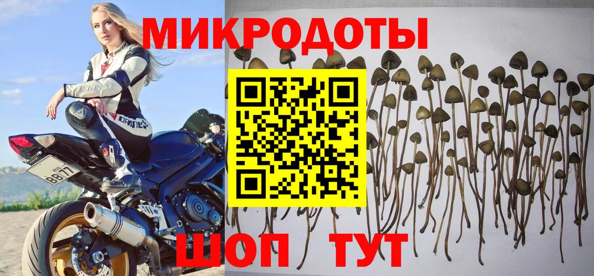 Галлюциногенные грибы ЛСД Донецк