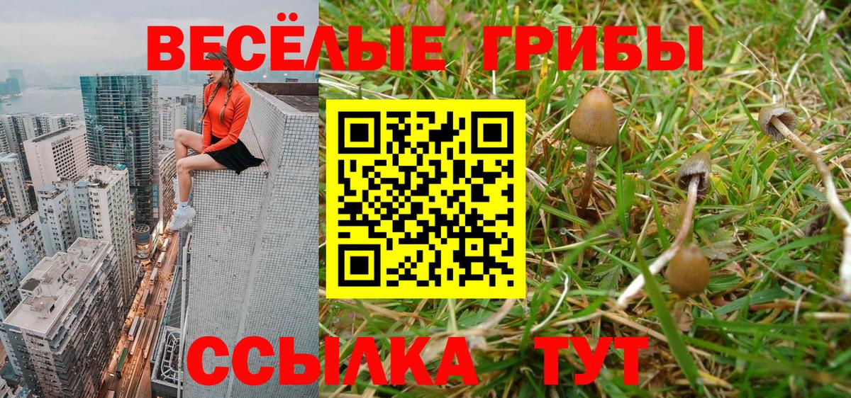 Псилоцибиновые грибы ЛСД  Вход с VPN  Донецк 
