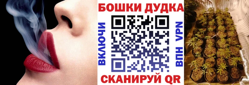 купить наркотики цена  Донецк  Каннабис сатива 
